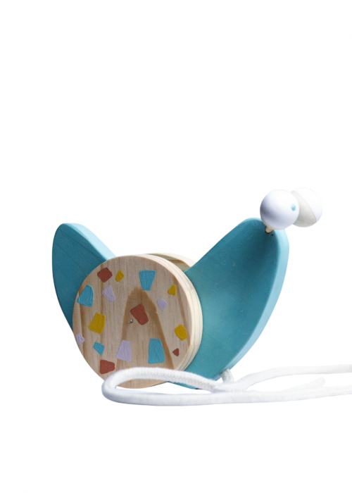 Snail pull or push Toys